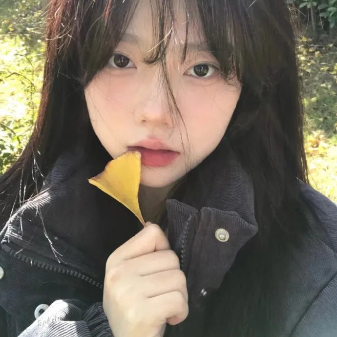 索密娅的抉择